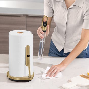 paper towel holder with spray