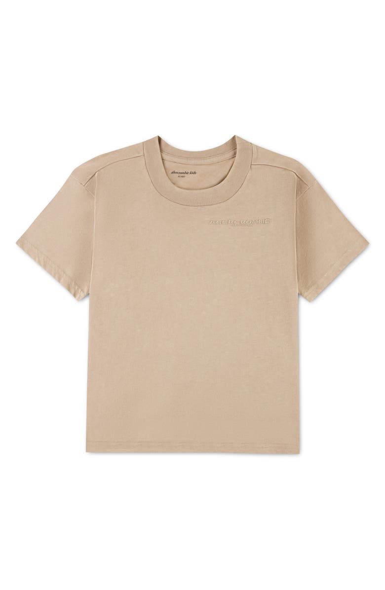 abercrombie kids Kids' Sunfaded Logo T-Shirt, Main, color, Simply Taupe