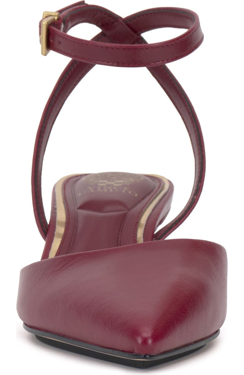 Vince Camuto Irva Ankle Strap Pointed Toe Pump, Alternate, color, Chianti