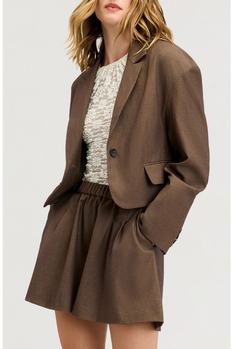 Cropped Blazer, Alternate, color, DARK BROWN