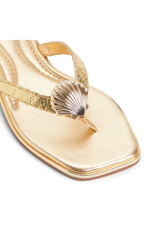 Aldo Conchiglia Flip Flop In Gold