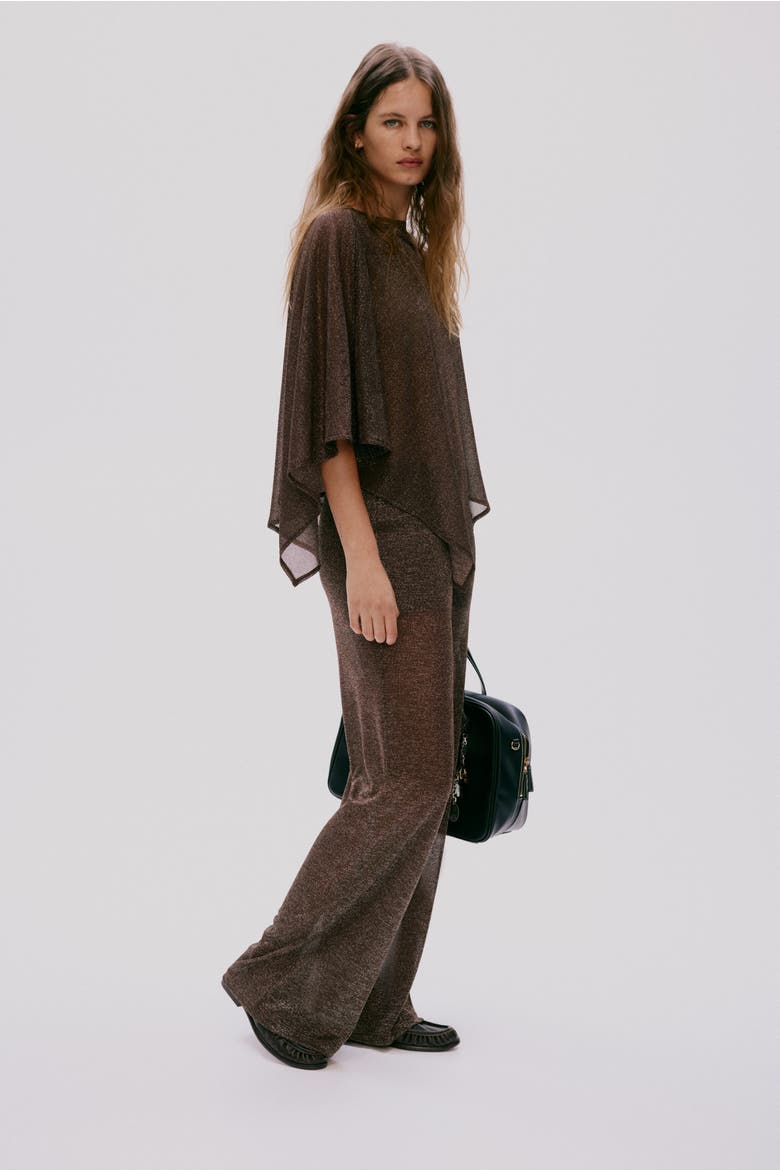 Glittery Trousers, Alternate, color, Dark brown