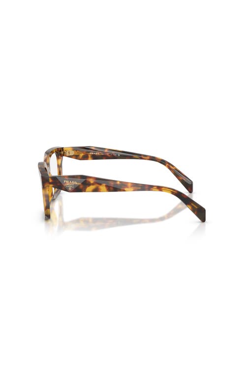 Prada 50mm Irregular Optical Glasses In Brown