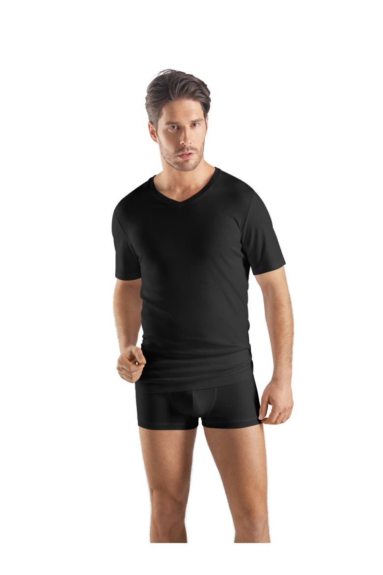 Sea Island Cotton Cotton V-Neck T-Shirt, Alternate, color, Black