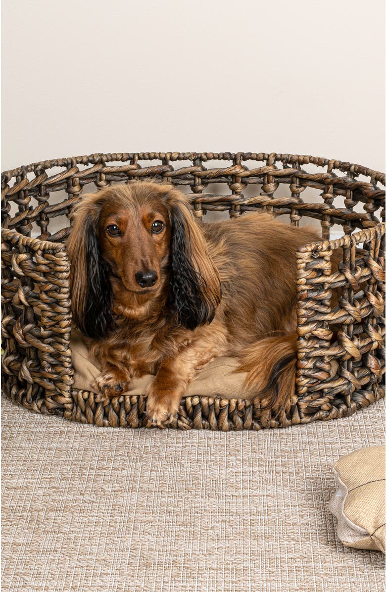 The Licker Store Gigi 24" x 18" Modern Handwoven Hyacinth Open-Weave Oval Pet Bed, Machine-Washable Cushion, Alternate, color, Brown
