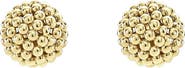LAGOS Caviar Lattice Stud Earrings