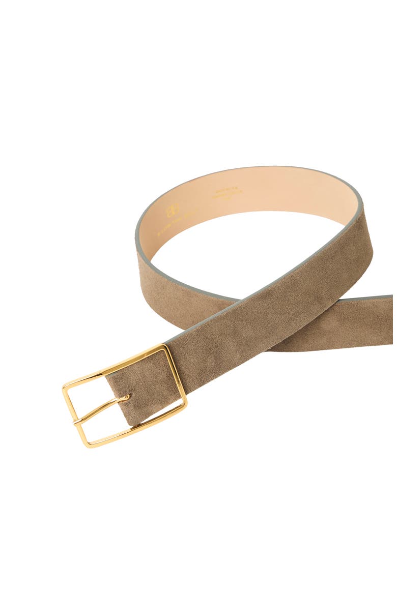 Milla Suede Belt, Alternate, color, ELEPHANT GOLD