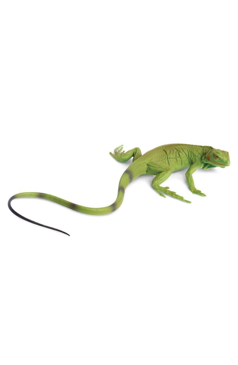 Safari Ltd. Iguana Baby Toy, Main, color, NO COLOR