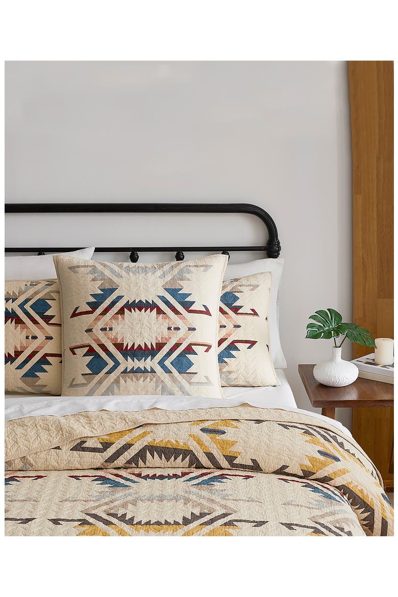 White Sands Euro Pillow, Alternate, color, SAND SHELL
