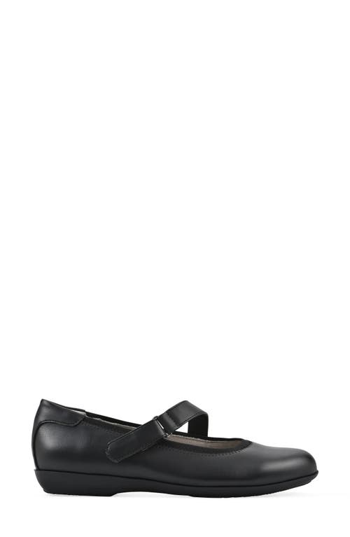 Cliffs By White Mountain Carwen Mary Jane Flat In Black