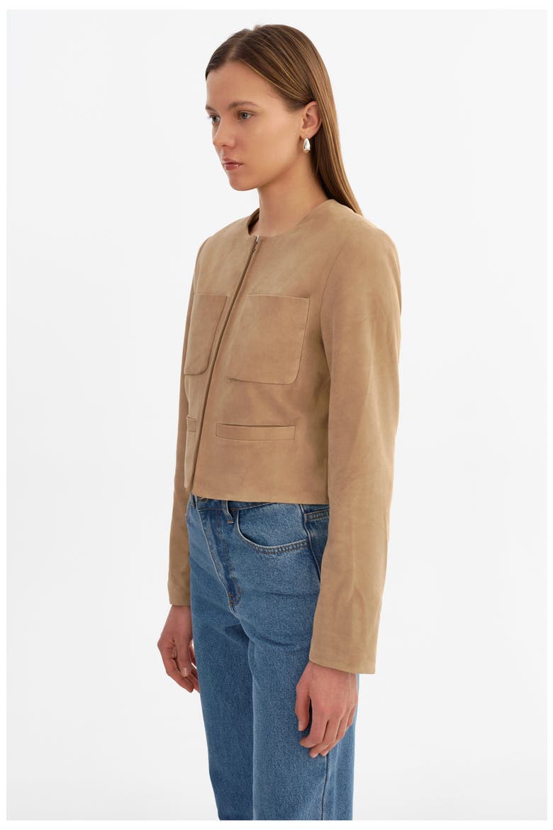 Linette S | Suede Jacket, Alternate, color, Beige