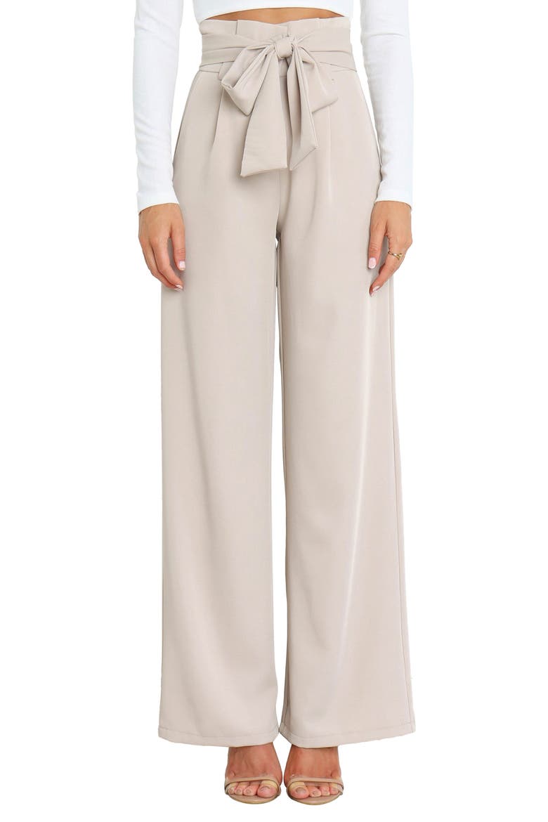 Kieran Tie Waist Wide Leg Pants, Main, color, BEIGE