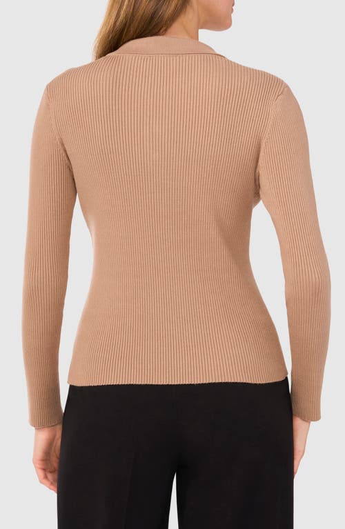 Halogen ® Rib Polo Sweater In Amphora Brown