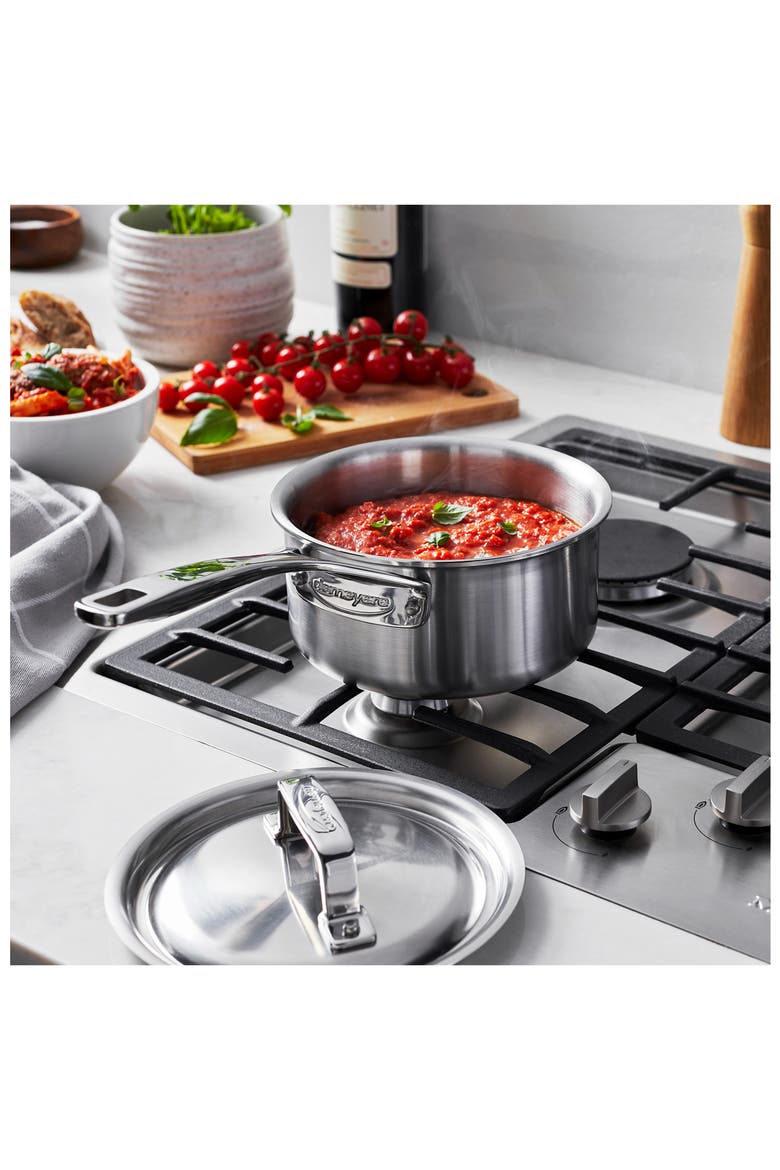 Essential 5-Ply 18/10 Stainless Steel Saucepan with Lid, Alternate, color, STAINLESS STEEL