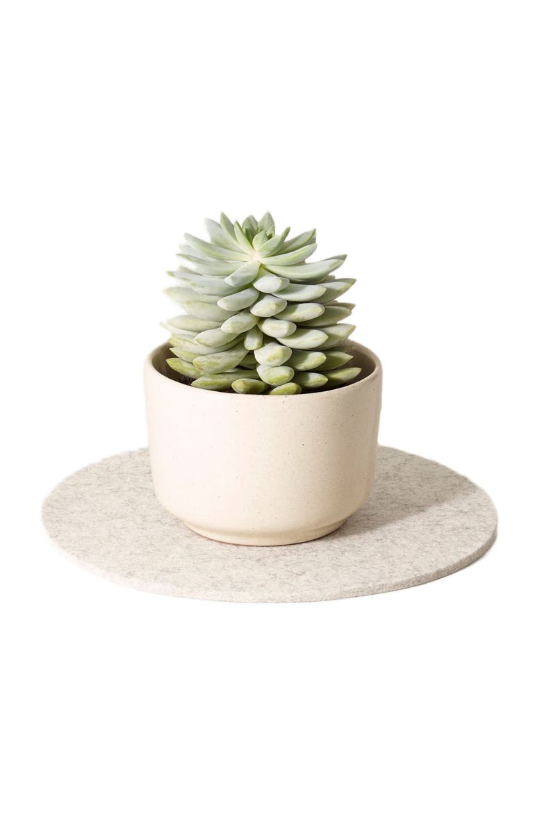 Merino Wool Trivet, Alternate, color, Heather White