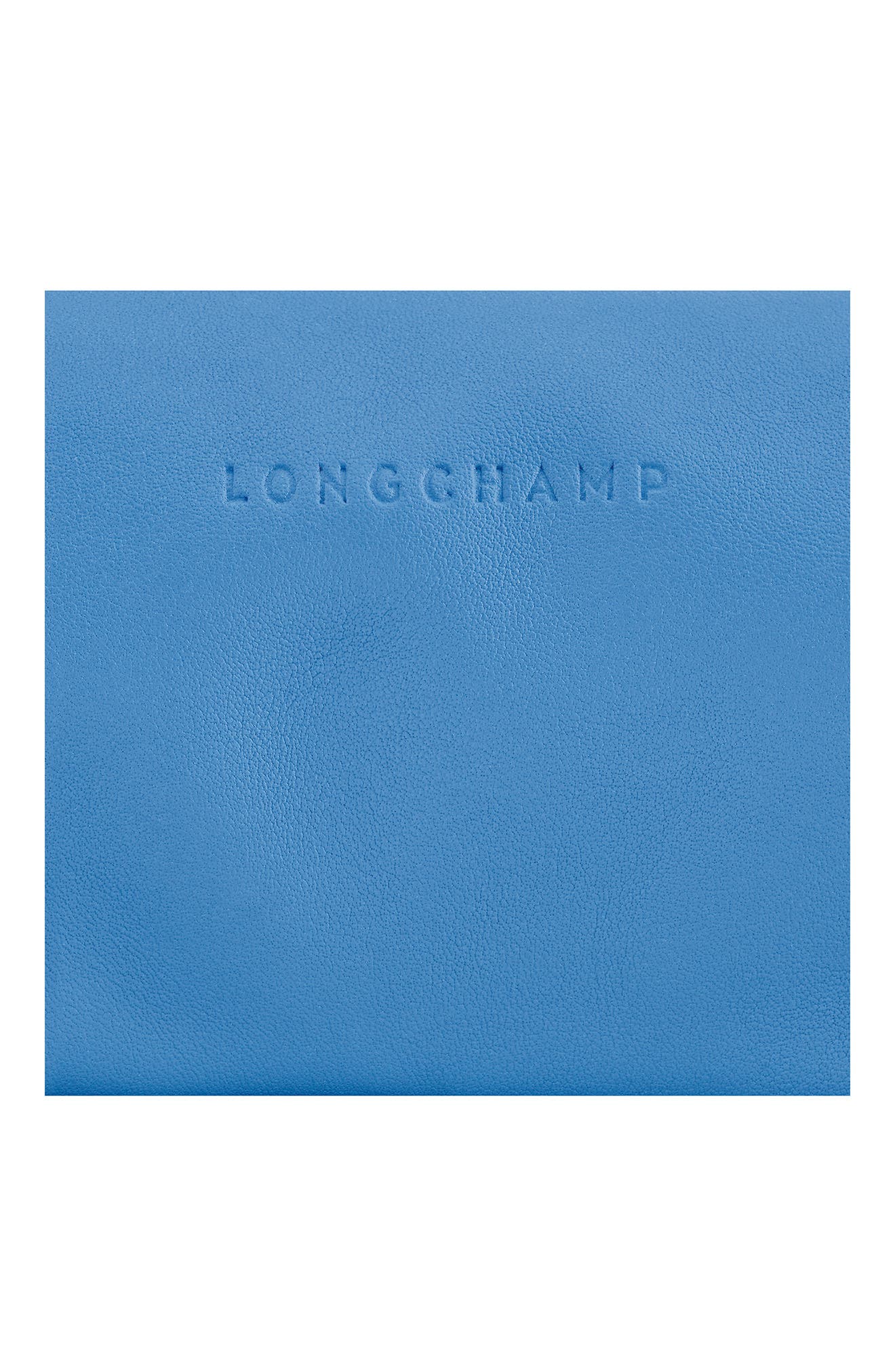 Roseau Small Leather Shoulder Bag, Alternate, color, AZURE