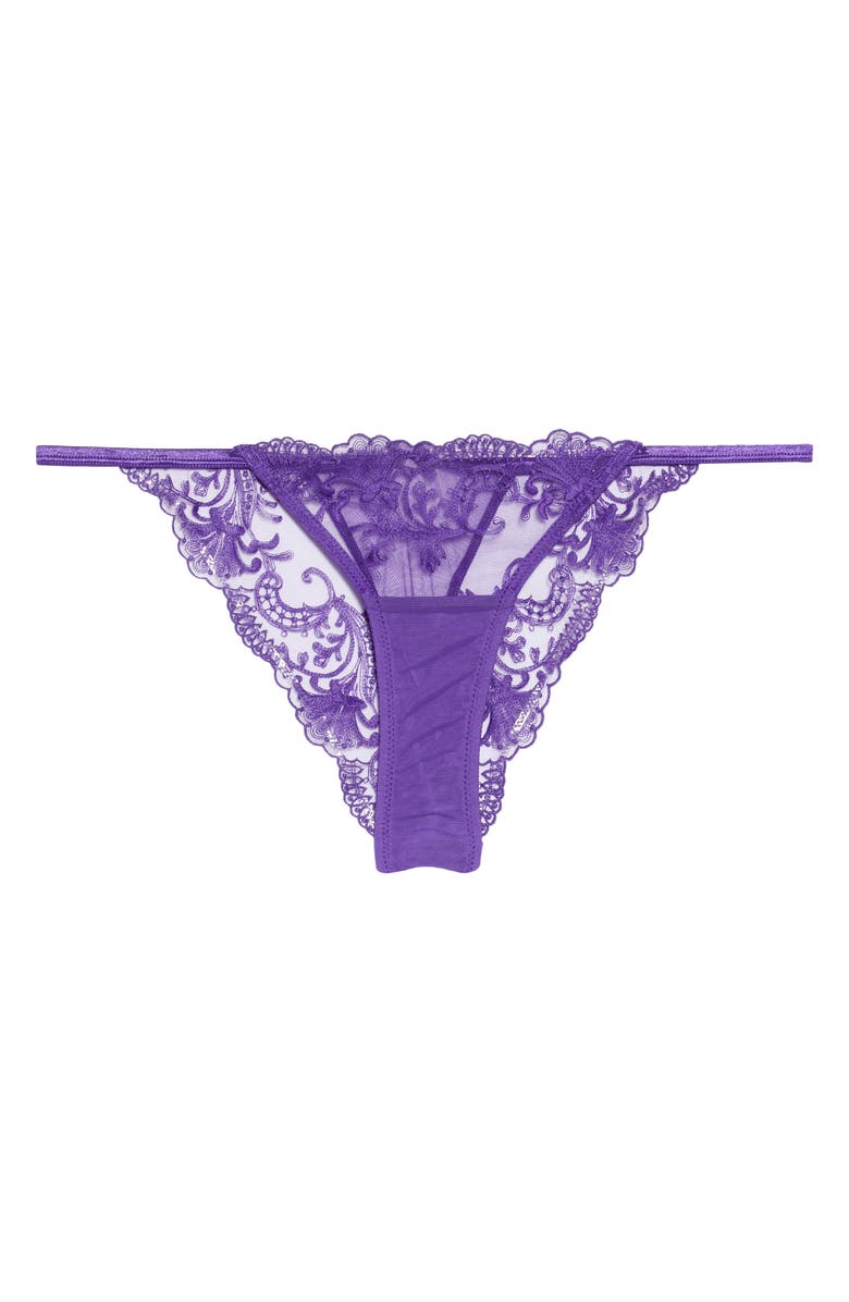 Bluebella Marseille Embroidered Mesh Briefs, Alternate, color, 