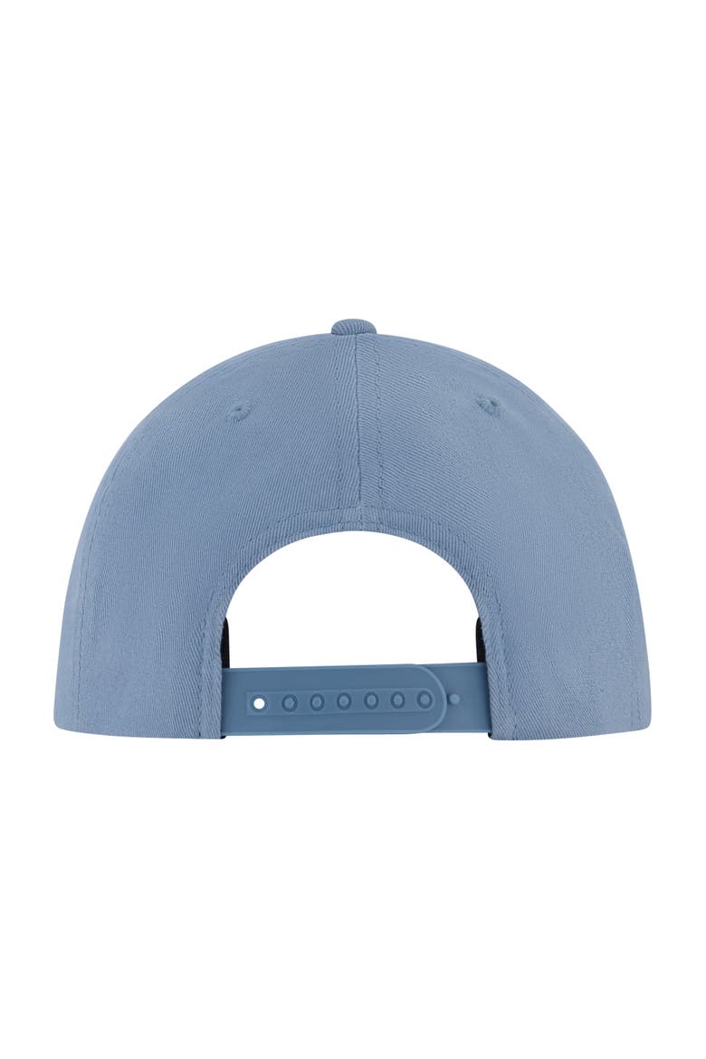Tree Logo 2.0 Snapback Cap, Alternate, color, LIGHT BLUE