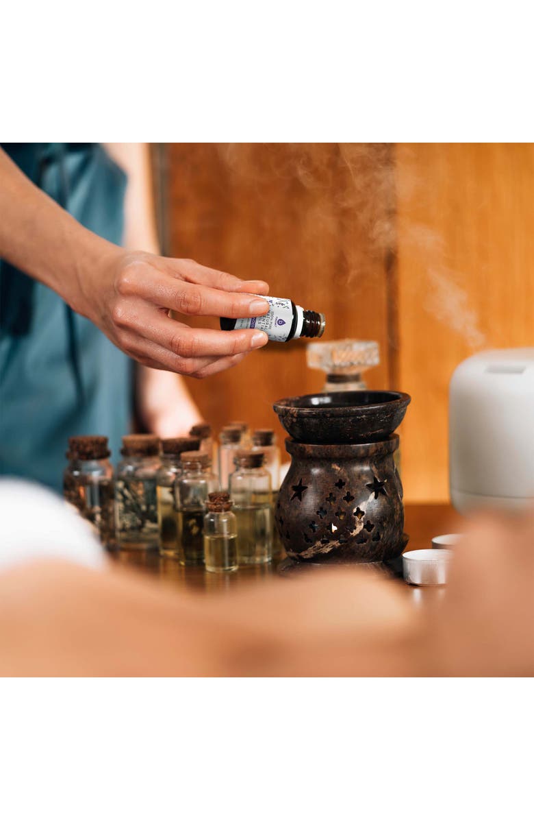 PURSONIC Laundry Care Bundle Wool Dryer Balls & Essential Oil Set, Alternate, color, Tea Tree