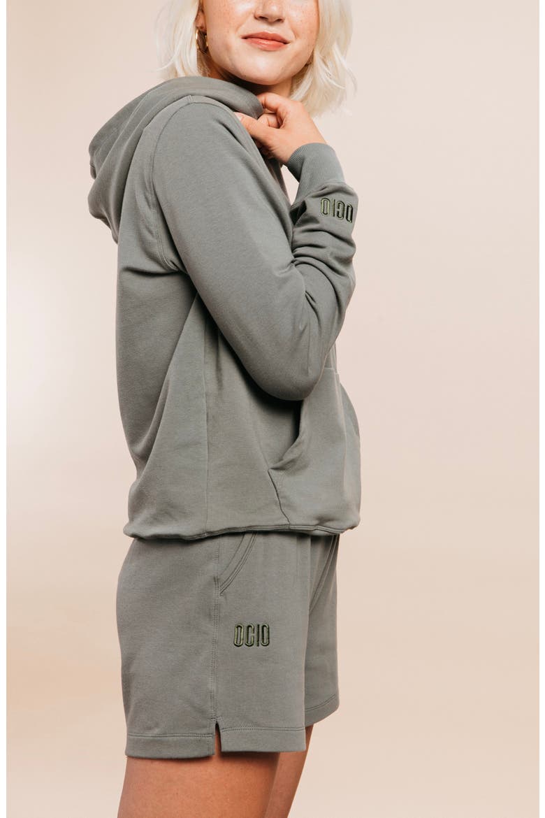 Women's SoftCore Classic Hoodie, Alternate, color, Sage