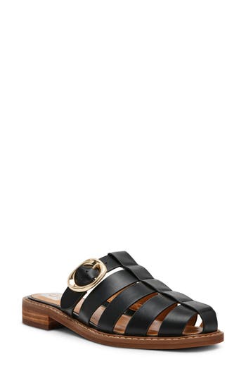 Dolce Vita Dv By  Fyona Mule Sandal In Black
