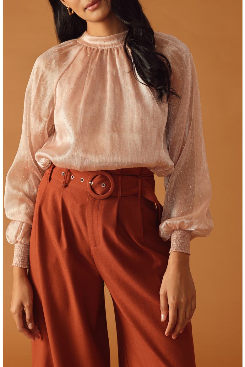 Embellished Long Sleeve Top, Alternate, color, ROSE