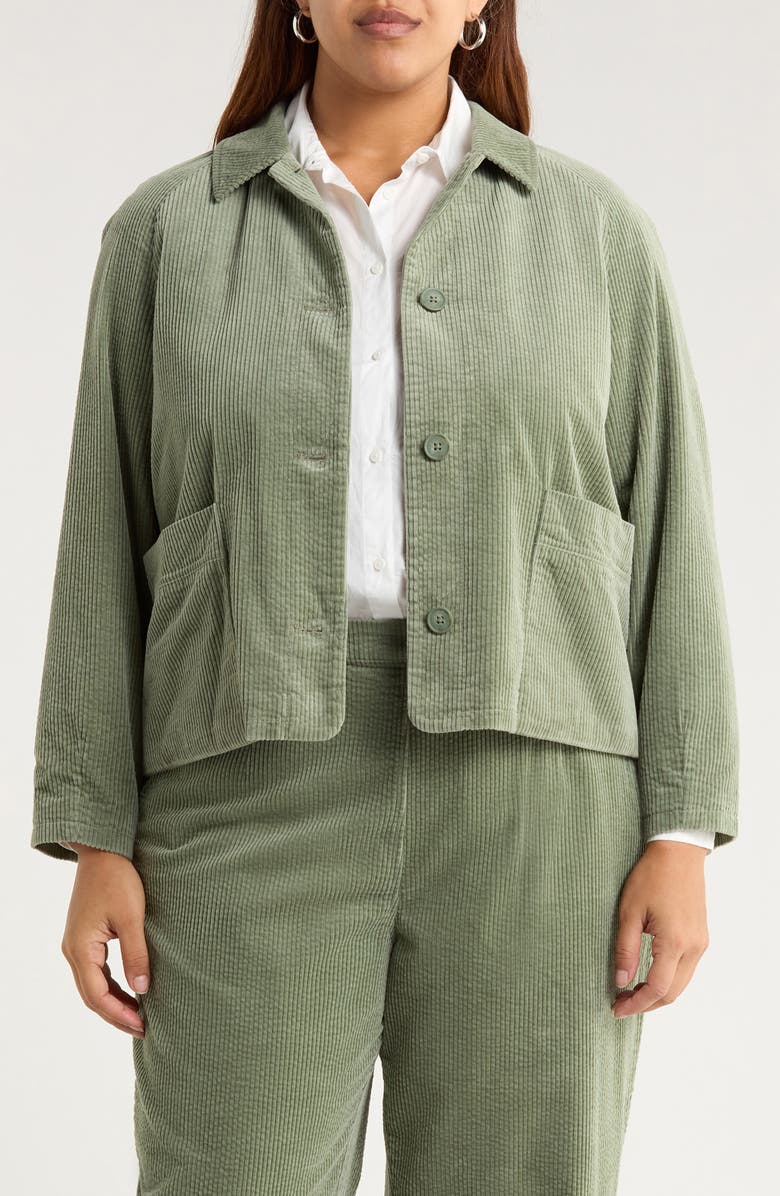 Seasalt Cornwall Ocean Mist Organic Cotton Chore Jacket, Main, color, Dusky Green