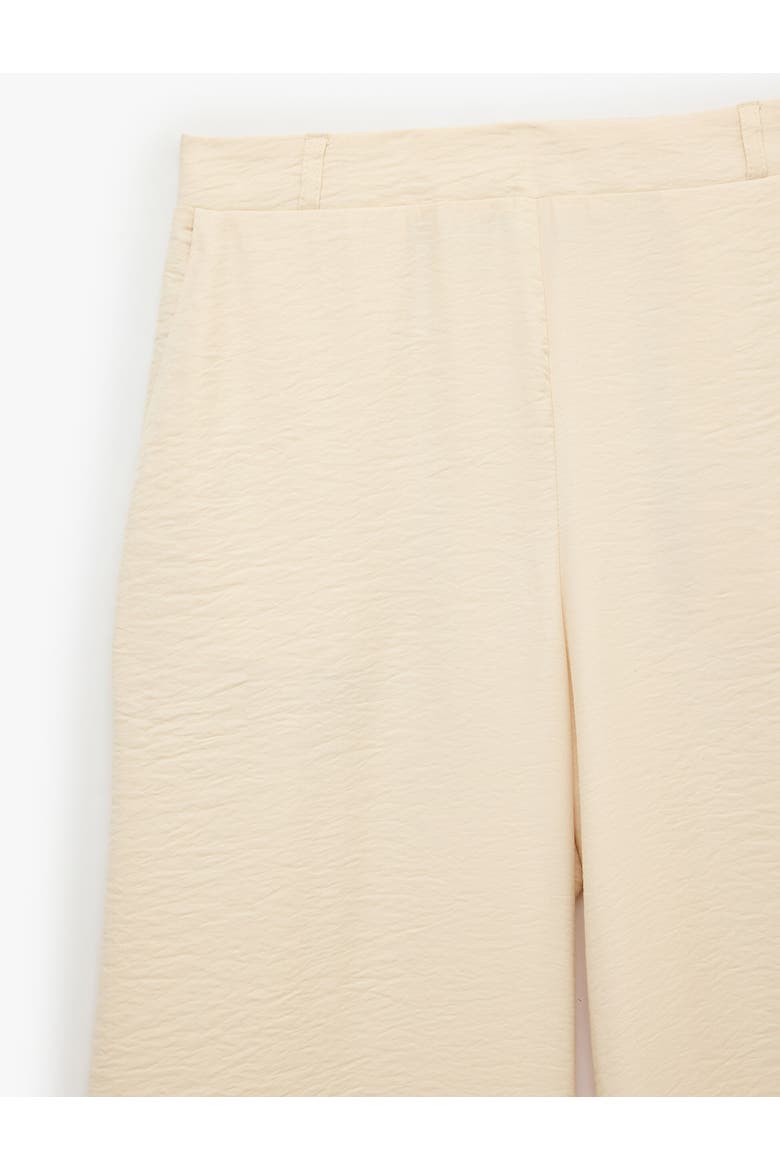 Straight Full Length Belted Wide Leg Pants, Alternate, color, BEIGE
