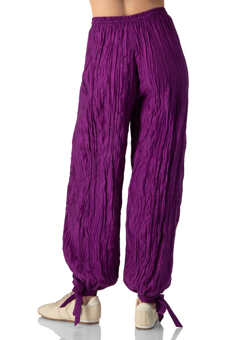 Pleated Pants with Ankle Ties, Alternate, color, Purple