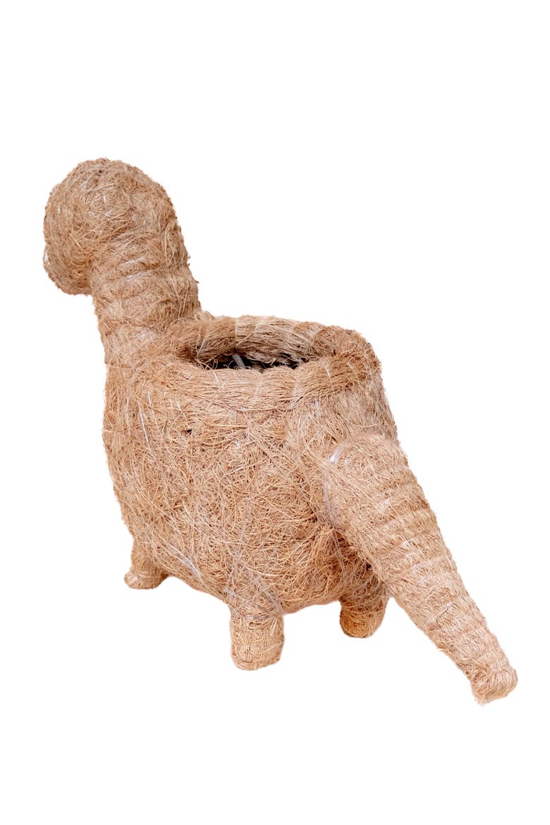 Dinosaur Coco Coir Planters, Alternate, color, Brown Baby Bronto
