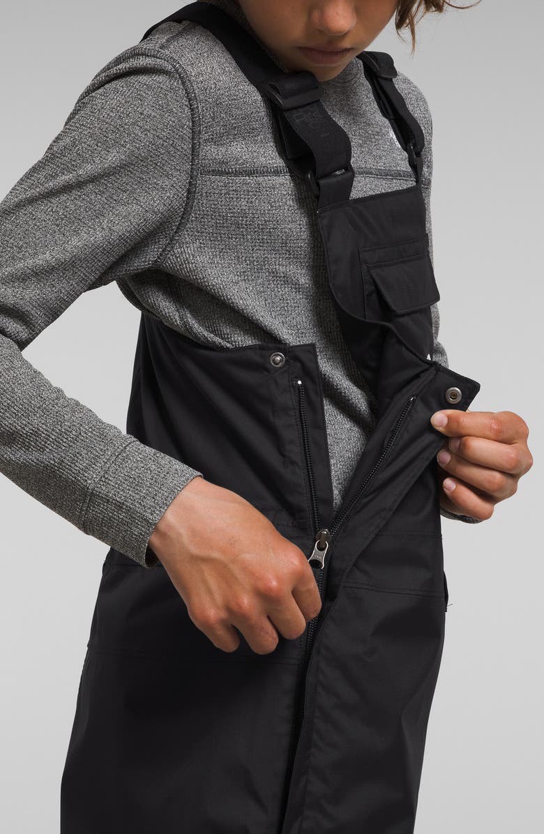 The North Face Kids' Freedom Waterproof Insulated Recycled Polyester Snow Bib, Alternate, color, 