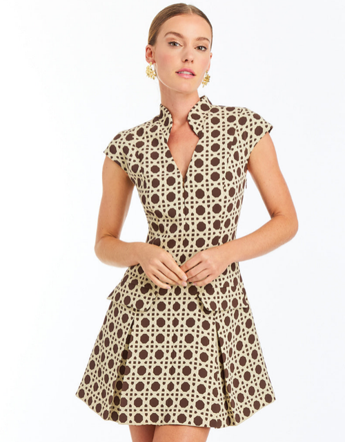 Mestiza New York Tianna Mini Dress In Multi