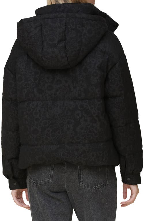 Shop Avec Les Filles Hooded Puffer Jacket In Black