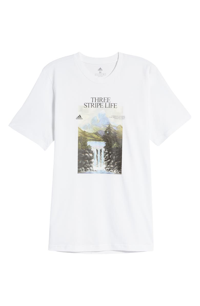 adidas Men's Mountain Graphic Tee, Alternate, color,