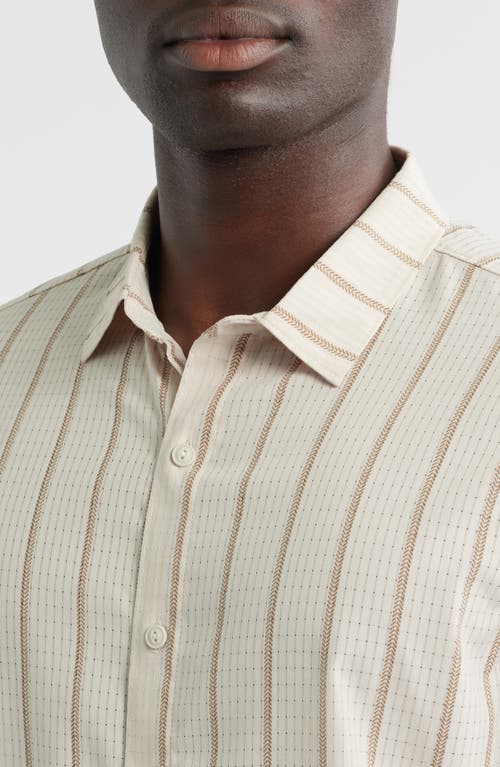 Roark Bless Up Short Sleeve Button-up Shirt In Animal Print