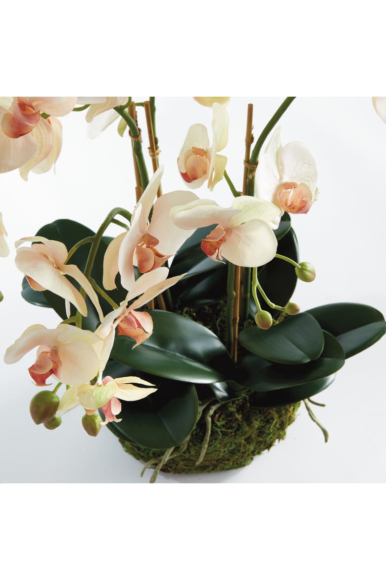 Phalaenopsis Orchid Bowl Artificial Plant Drop-In, Alternate, color, Pink