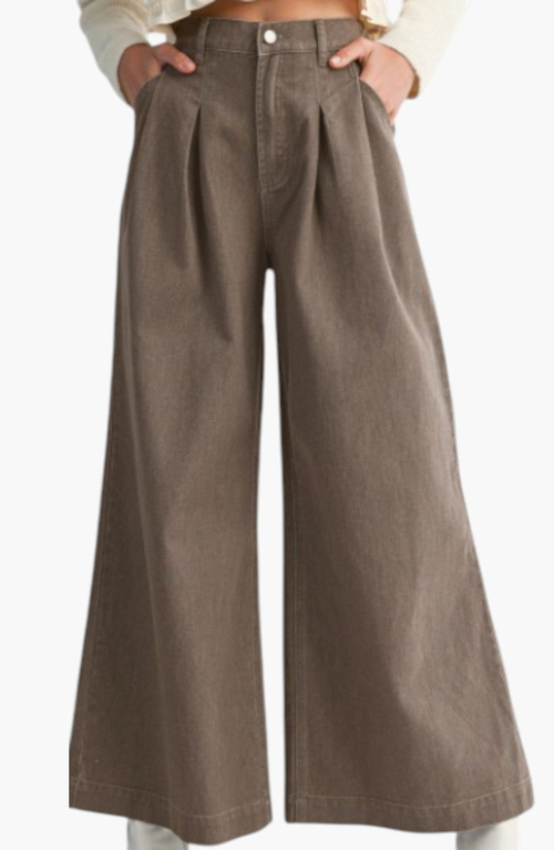 Modenaire High-waist Wide-leg Front-pleated Side-pocket Pants In Brown