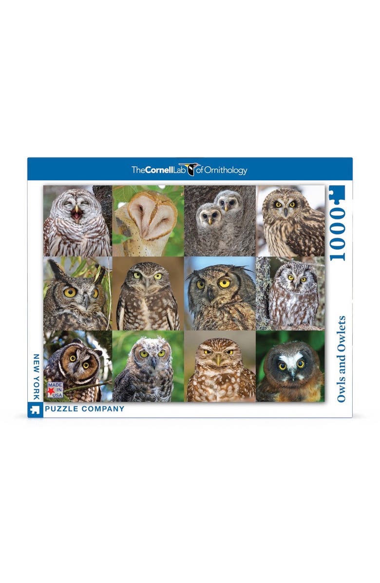 NEW YORK PUZZLE COMPANY Owls and Owlets 1000 Piece Puzzle, Main, color, NO COLOR