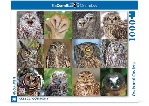 Owls and Owlets 1000 Piece Puzzle