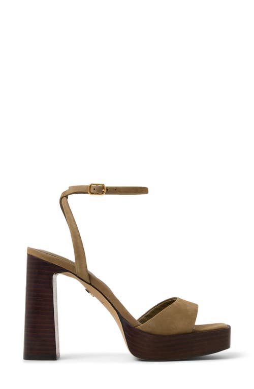 Aldo Lothon Ankle Strap Platform Sandal In Nude