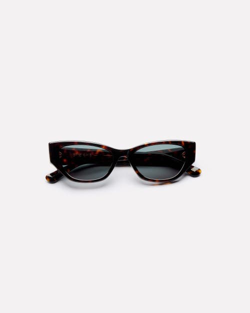 Epokhe Reprise Sunglasses In Brown