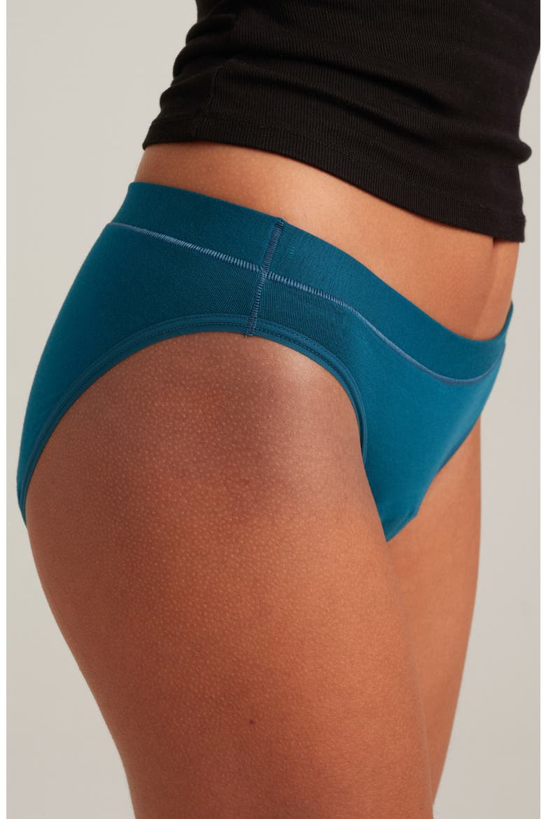 Period & Leakproof Regular Absorbency Comfort Bikini, Alternate, color, BLUE