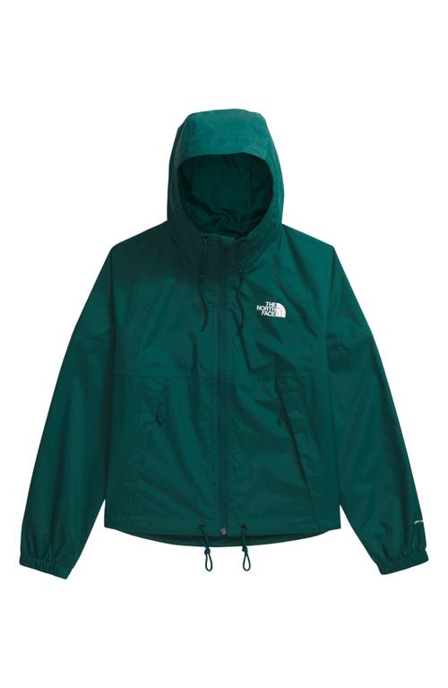 THE NORTH FACE THE NORTH FACE ANTORA WATERPROOF RAIN HOODIE