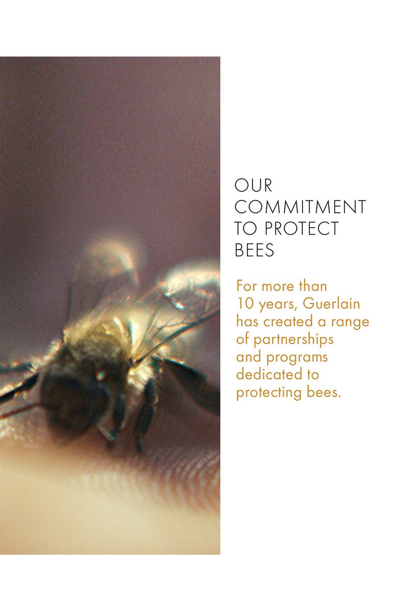 Guerlain Abeille Royale Advanced Youth Watery Oil Discovery Set USD $229 Value, Alternate, color,