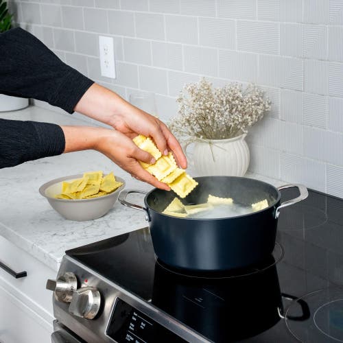 Alva Maestro Nonstick Stock Pot With Lid In Black