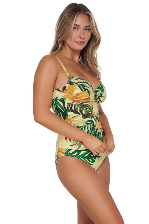 Sunsets Serena Tankini In Amber Oasis