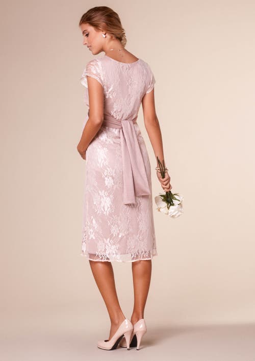 Tiffany Rose Maternity April Nursing Dress In Pink
