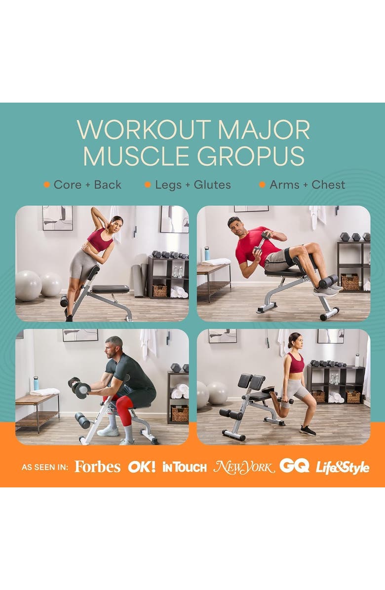 Lifepro Sculpt Trainer Roman Chair leg Exerciser machine, Alternate, color, Grey