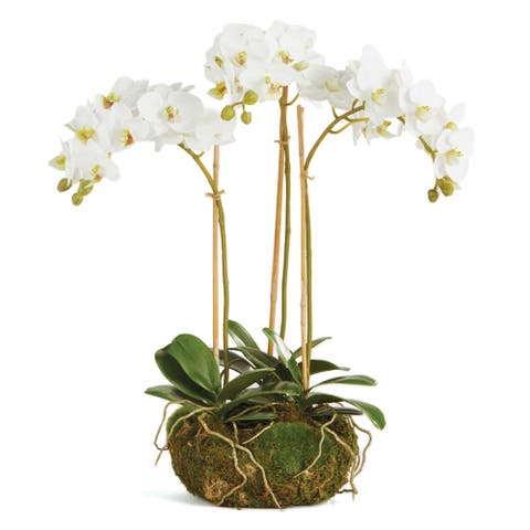 Phalaenopsis Orchid Faux (Fake) Mini Garden Drop-In 16"