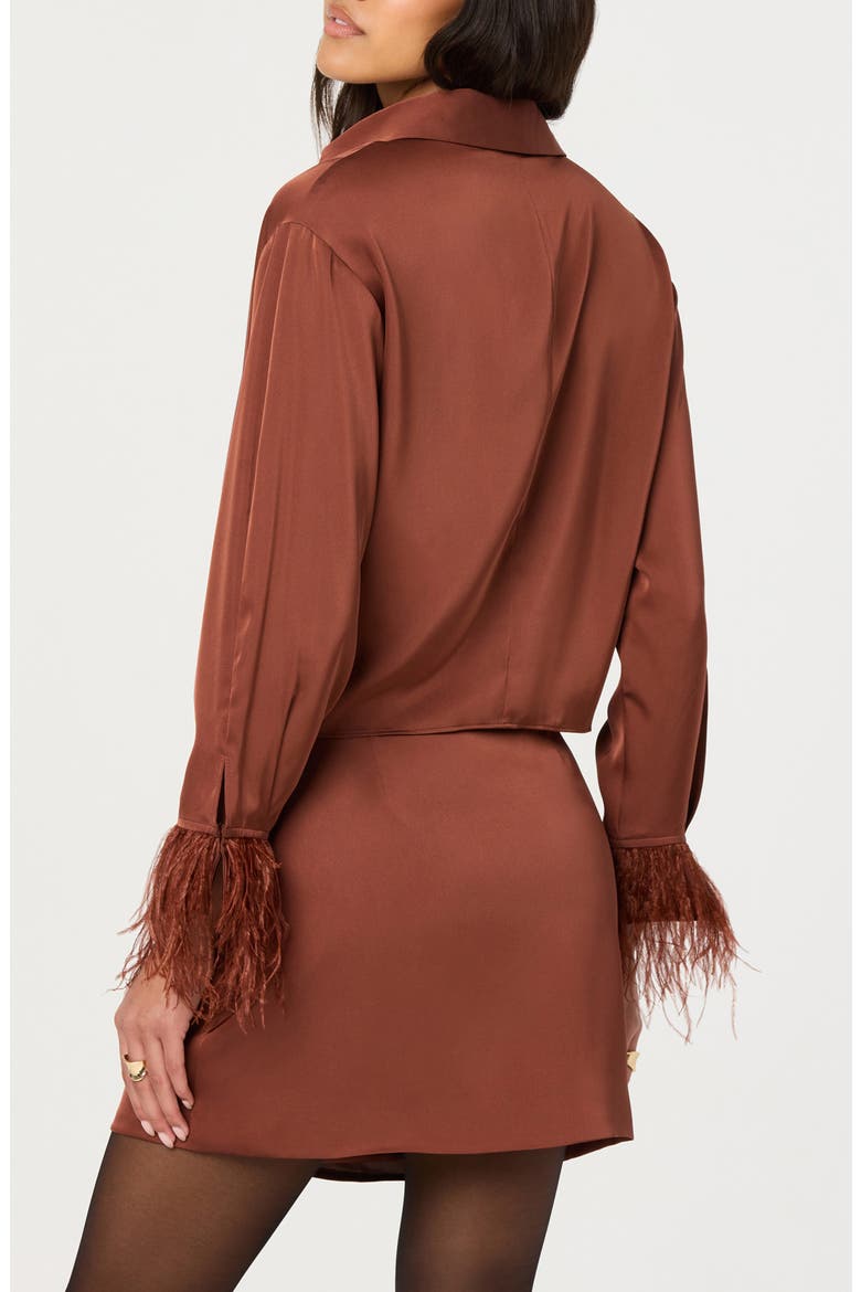 Catrina Feather Accent Surplice Satin Top, Alternate, color, RUST BROWN